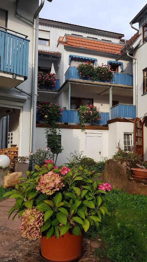 Hotel Wappenstube Erbach  Kültér fotó